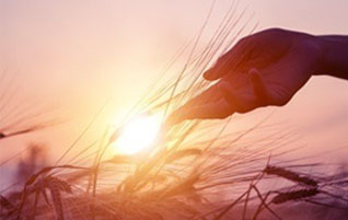 俄罗斯贵宾会·(中国)集团