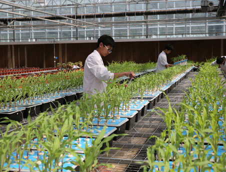 俄罗斯贵宾会·(中国)集团