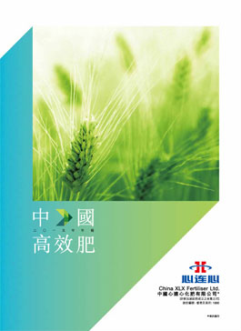 俄罗斯贵宾会·(中国)集团