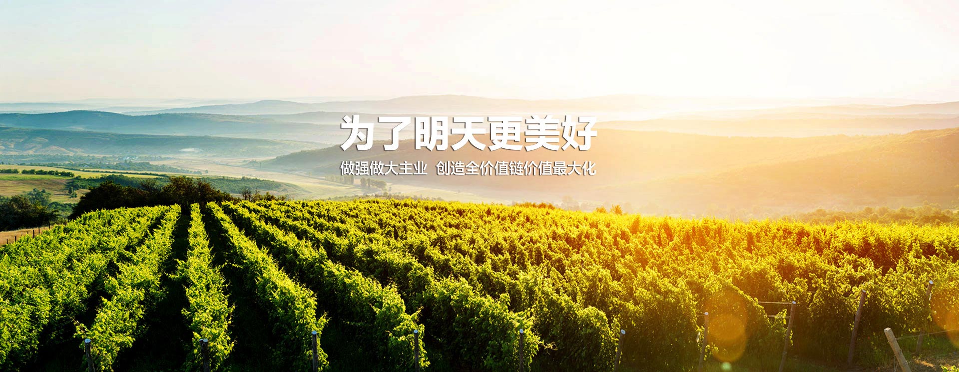 俄罗斯贵宾会·(中国)集团