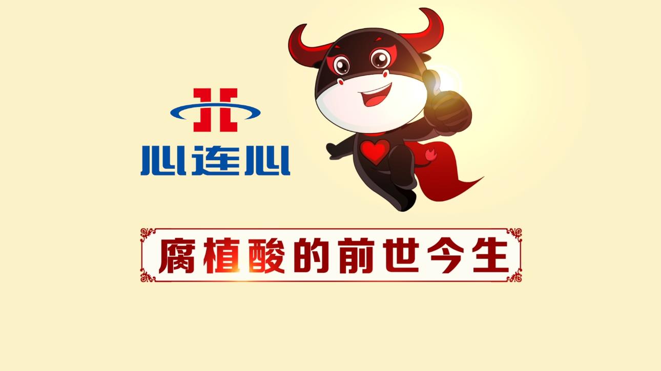 俄罗斯贵宾会·(中国)集团